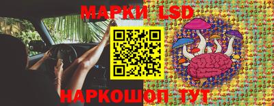 винт Нарткала